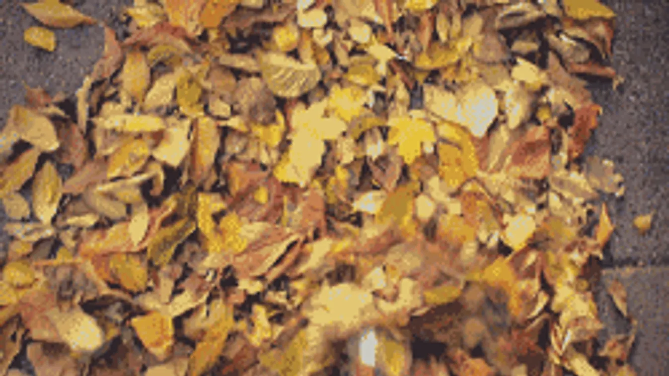 Jó hírt közöltek a meteorológusok, újra napsütés és meleg vár ránk