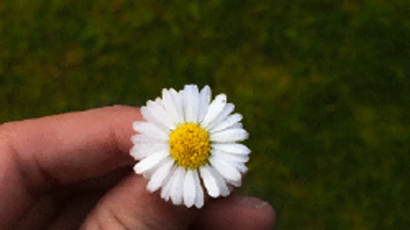 Ha nem hiszel az időjósoknak, ma meg fogsz lepődni