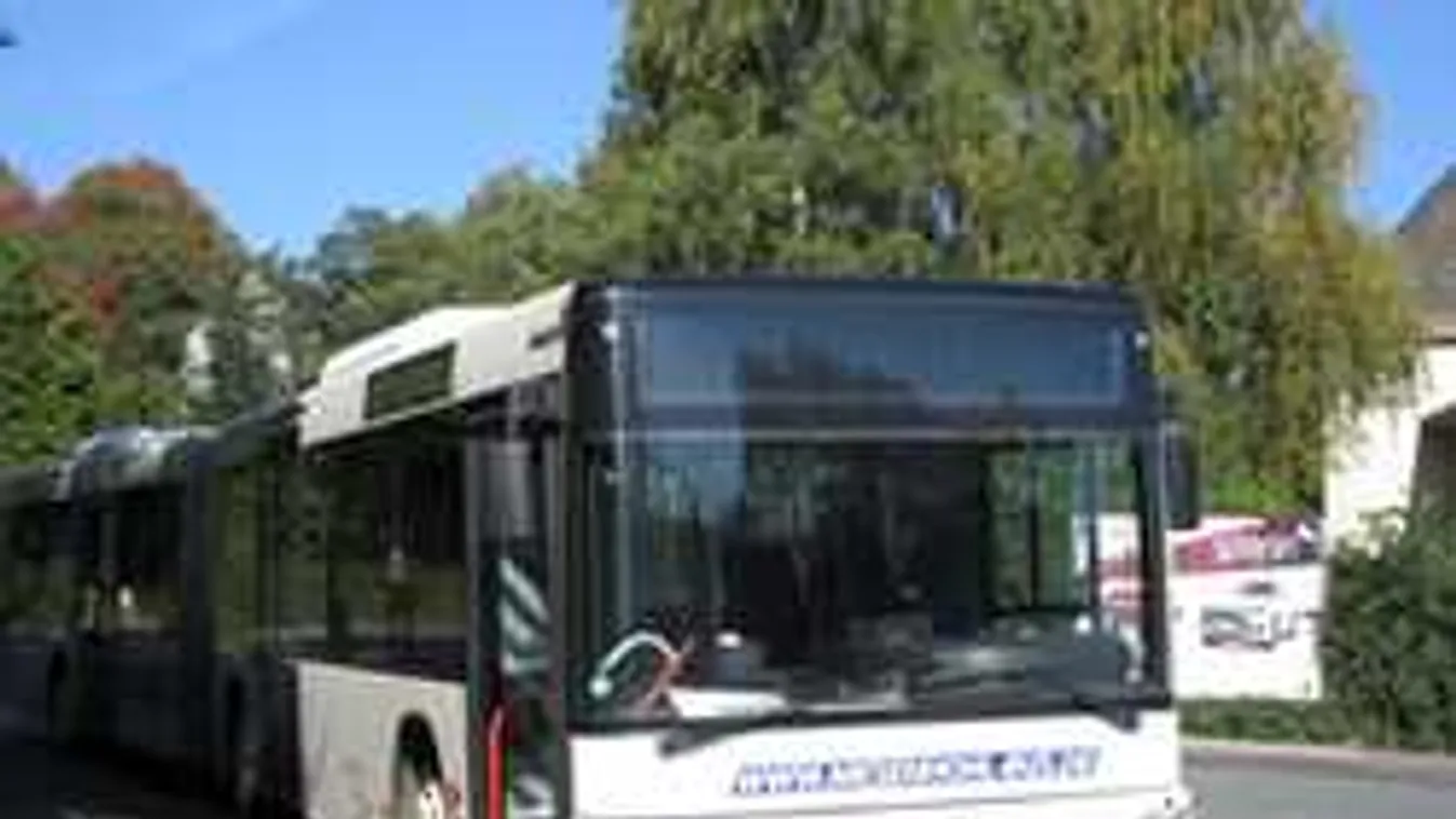 Német bíró: már nem mernek felülni a nők a buszra, vonatra