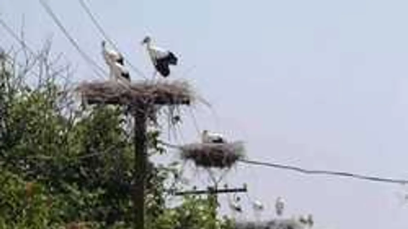 Itt a biztos jele annak, hogy vége a nyárnak