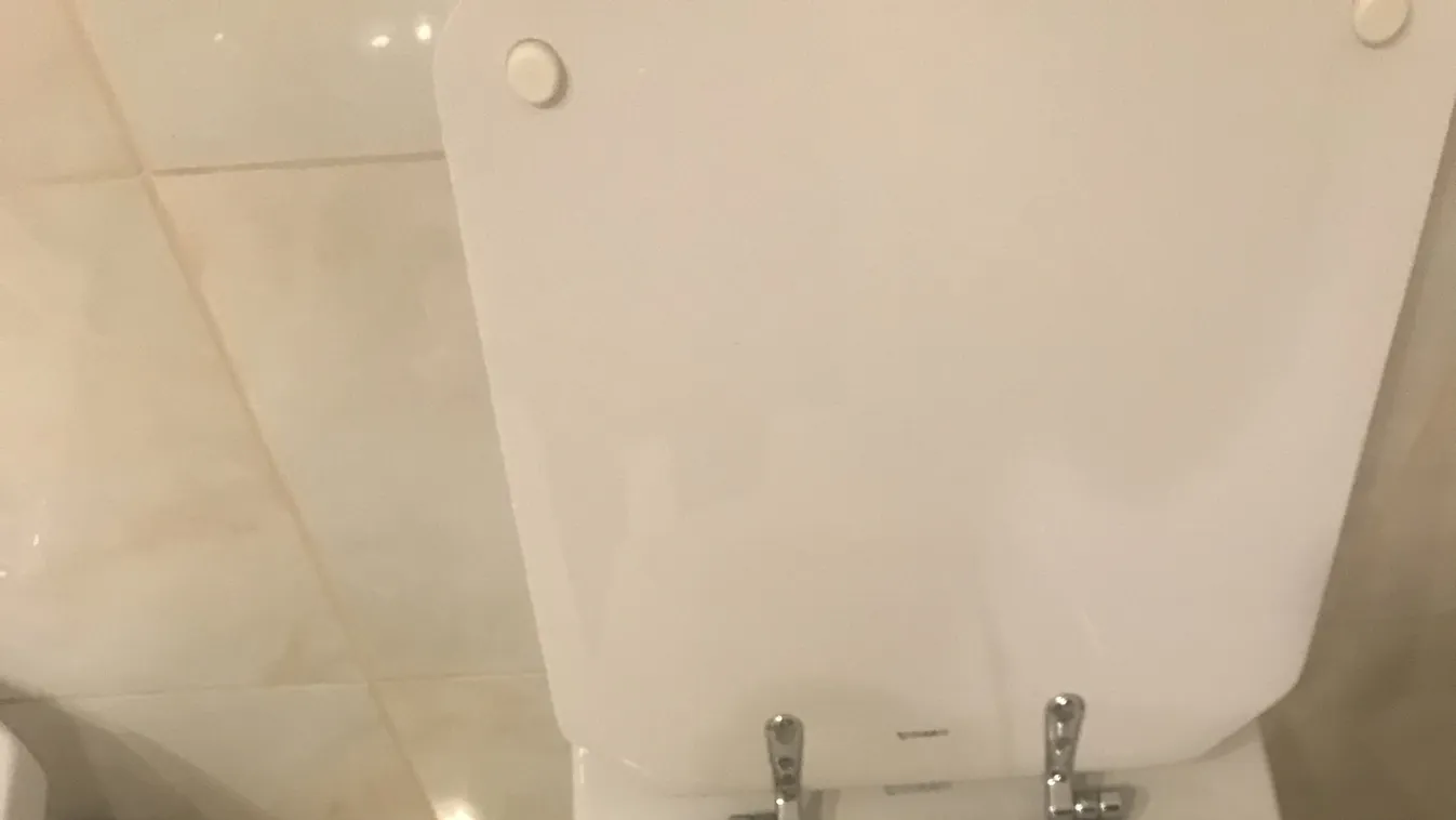 Önts ecetet a vécébe, döbbenetes lesz a hatás