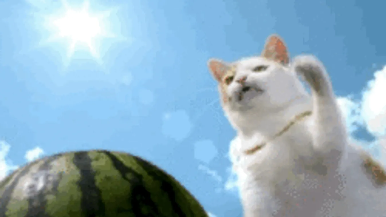 Rendkívüli idő miatt adtak ki vészjelzést, ettől kiakad a hőmérő