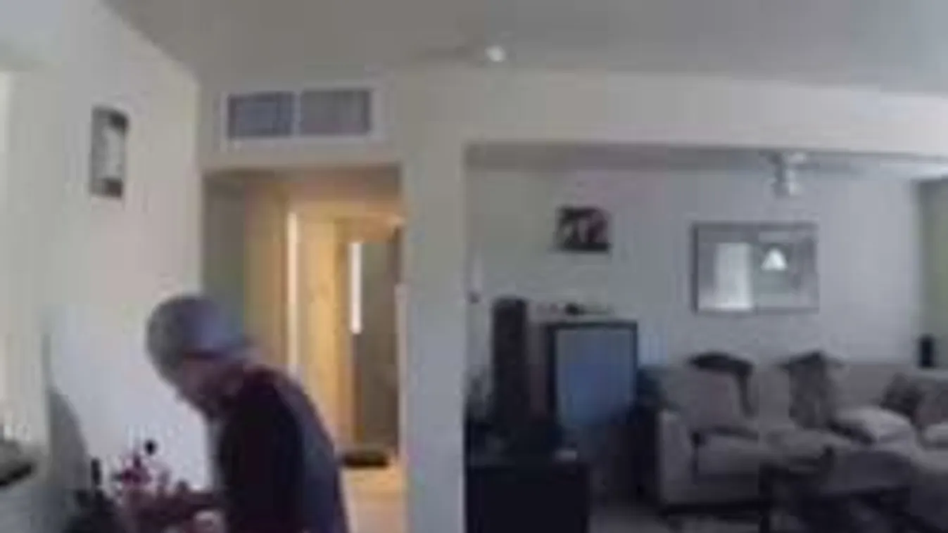 Peches tolvajok: 9 kamera is vette, amint kirámolták a házat!