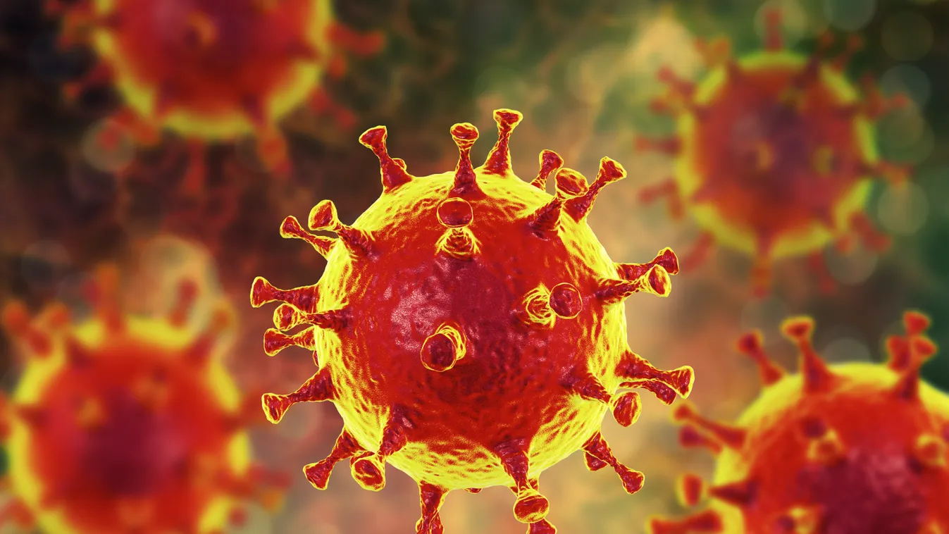MERS virus, Meadle-East Respiratory Syndrome coronovirus