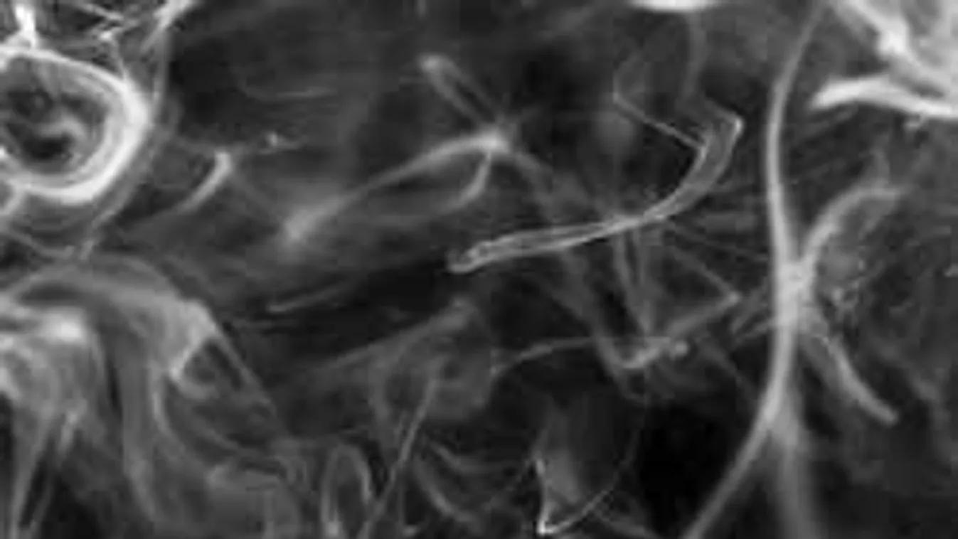 Pánik Pest megyében: hatalmas hőstettet hajtott végre egy rendőrnő