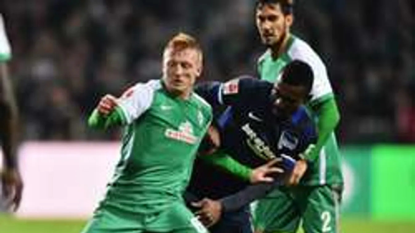 Óriási lehetőség előtt áll fociválogatottunk Pitbullja