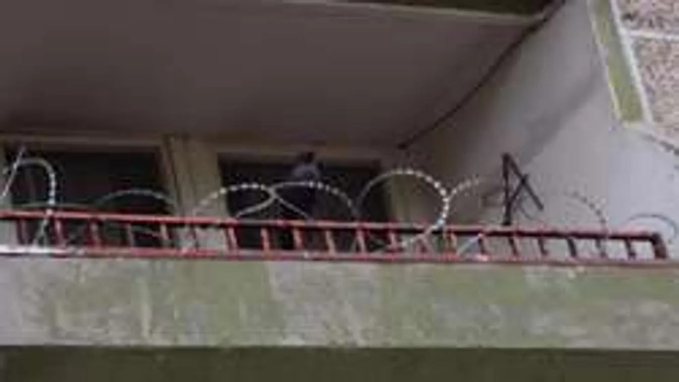 Szögesdróttal és művarjúval védekeznek Óbudán