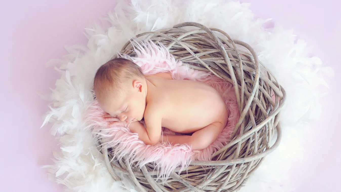 Hihetetlen: egy papírdobozba csomagolva találtak rá a koraszülött csecsemőre