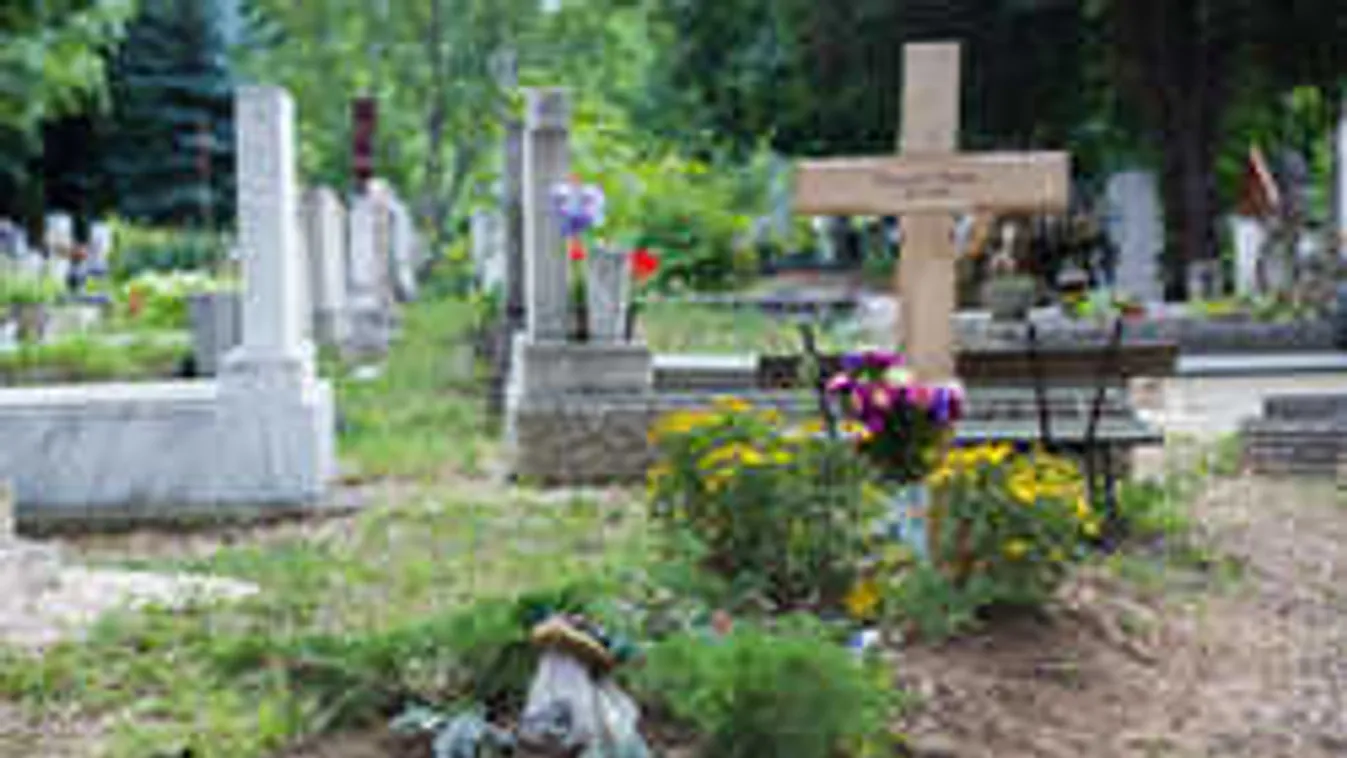 Döntött a család: Ezt teszik gyermekei Czeizel Endre sírjával