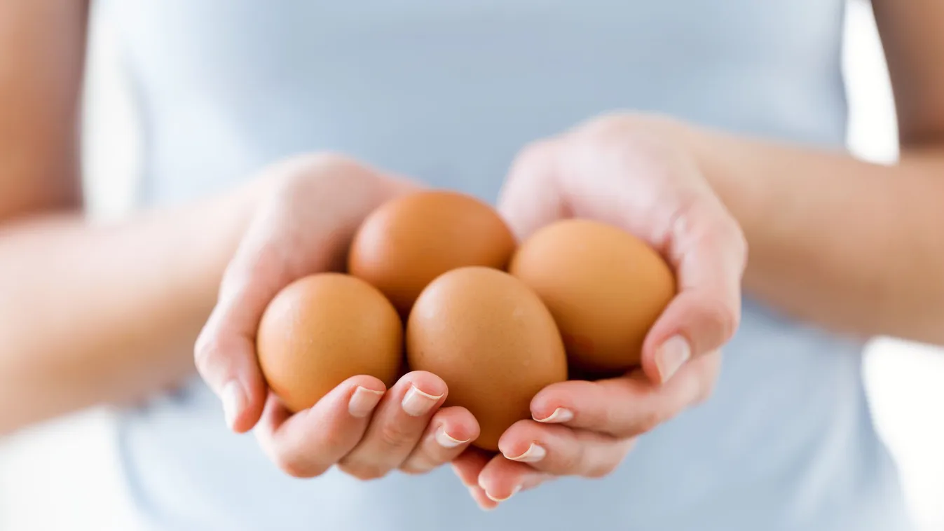 Kiderült, miért a tojás a legfontosabb, ha fogyni akarsz