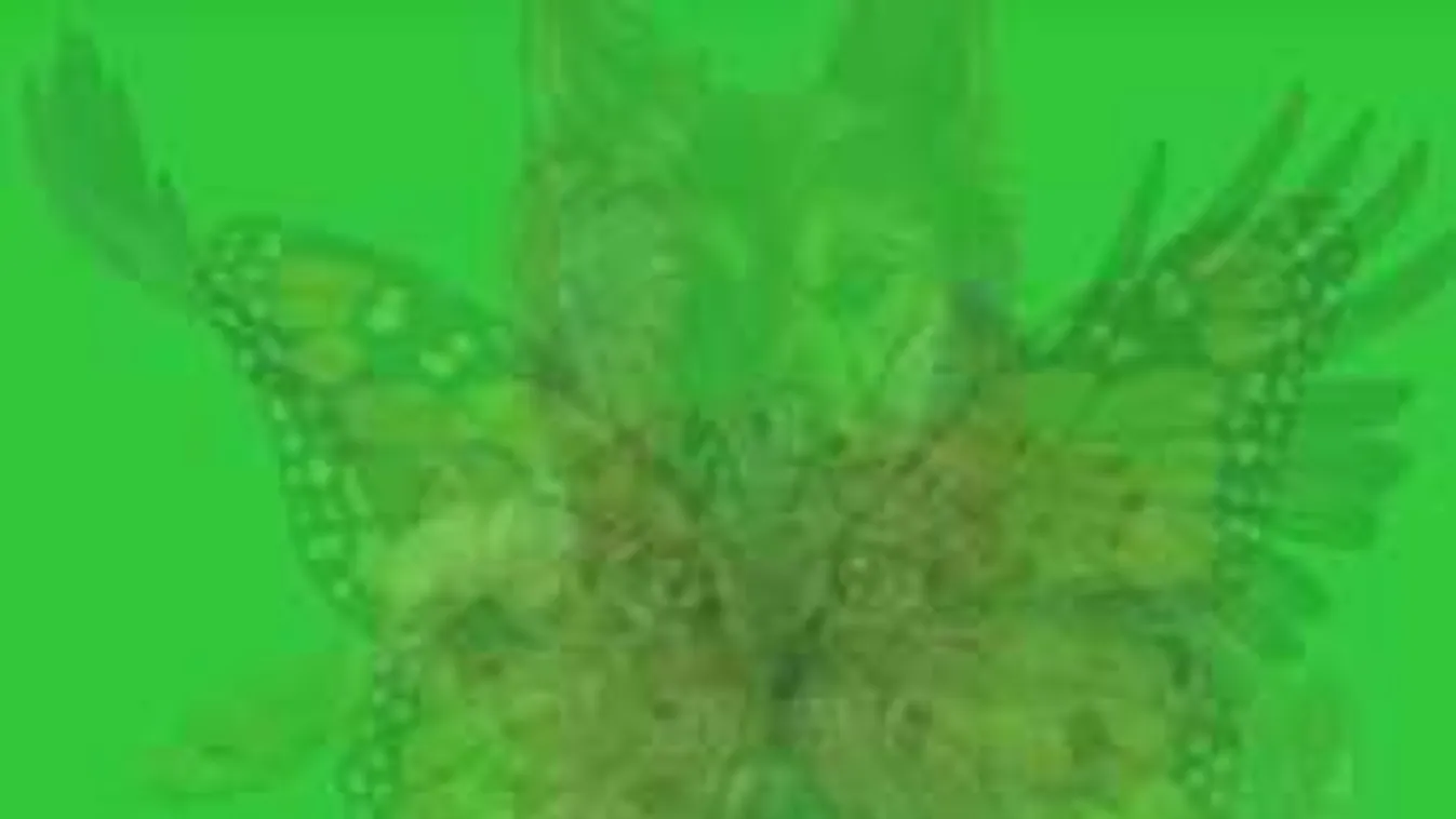 Eszméletlen különleges személyiségteszt - kiderül lelked rejtett kincse!