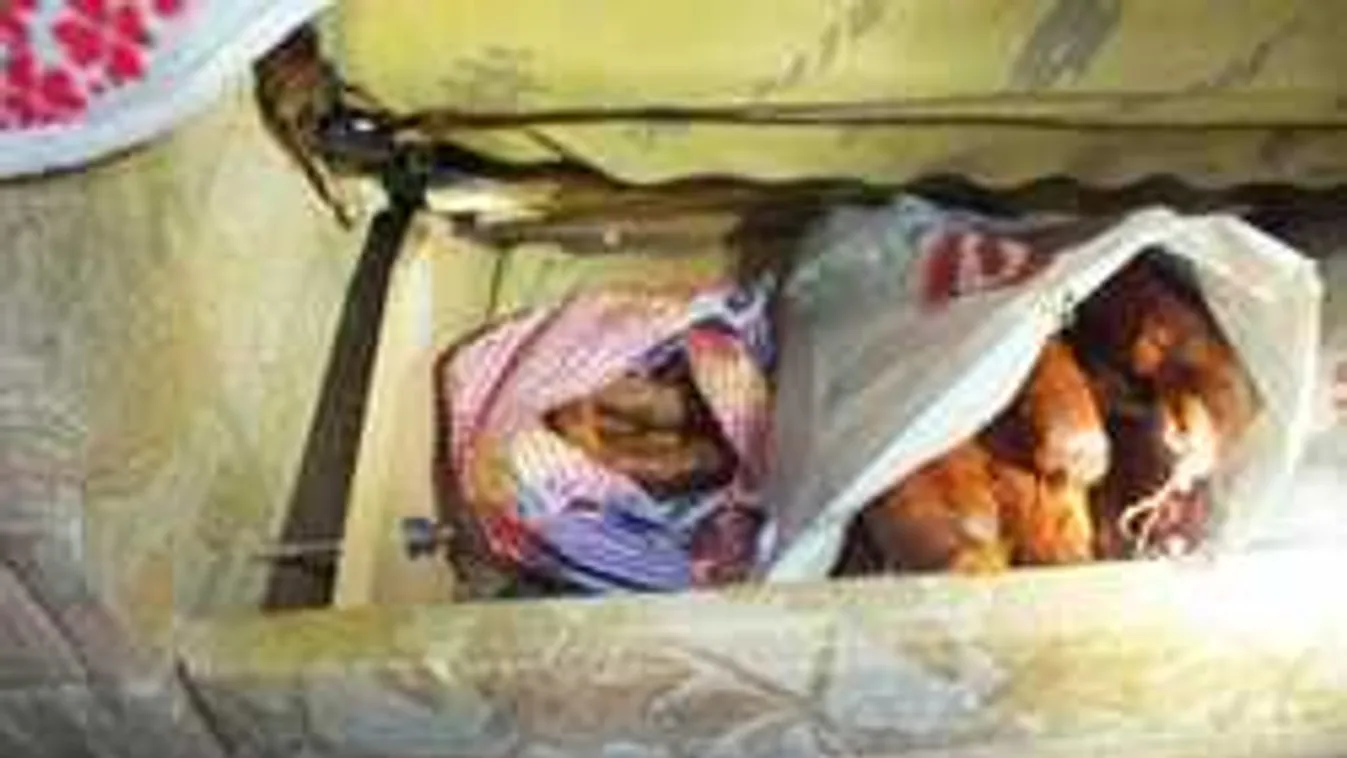 Több szál szalámit lopott a pancser tolvaj, nem hiszed el, hogy bukott le