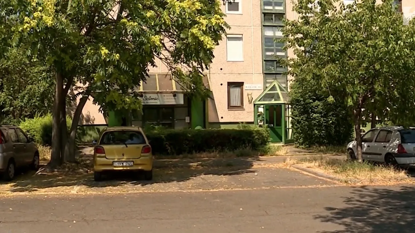 Négyéves gyermeke szeme láttára szúrták nyakon az édesanyát Óbudán – Videó