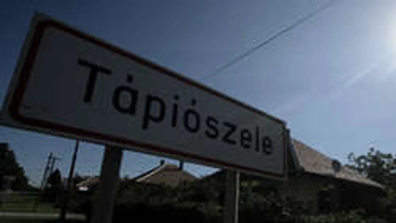 Pár forintért verte meg a húgát