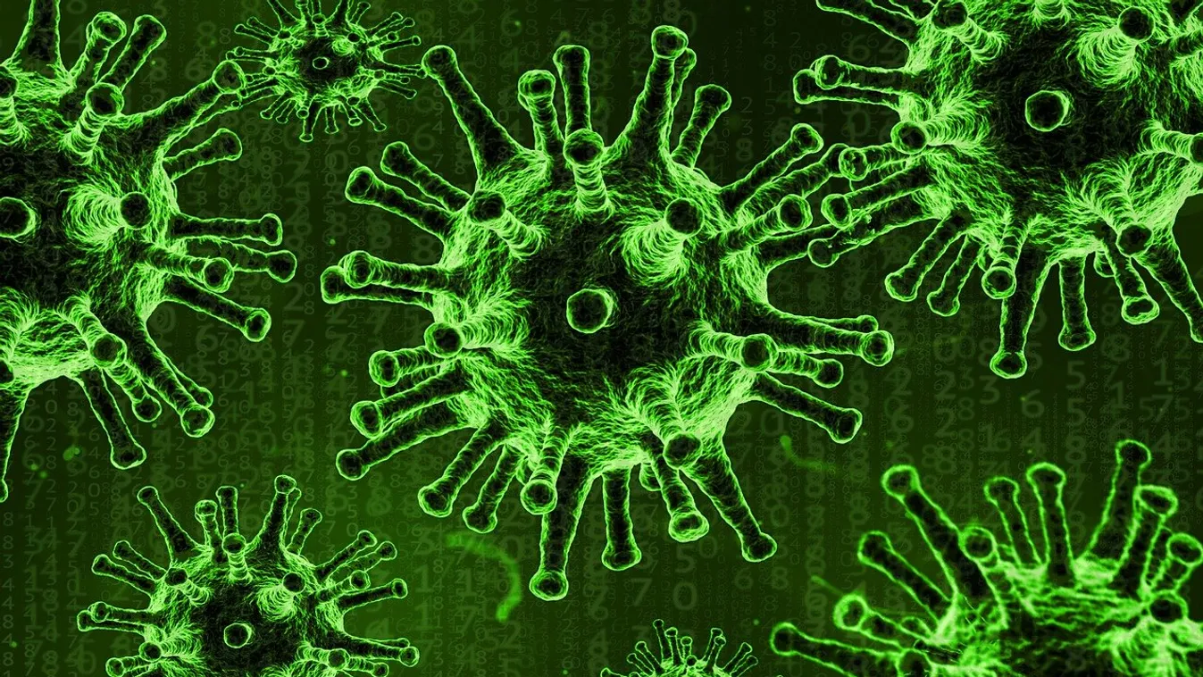 Gyógynövény - Covid - 01