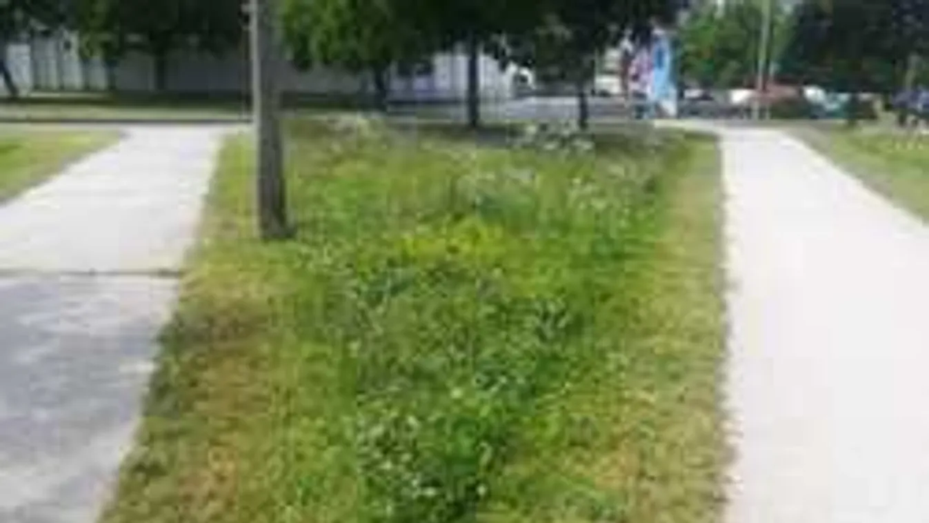 Ezért kaszálnak olyan furcsán egyre több hazai parkban