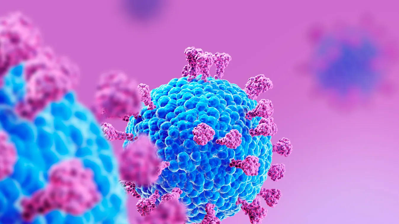 Coronaviruses, illustration