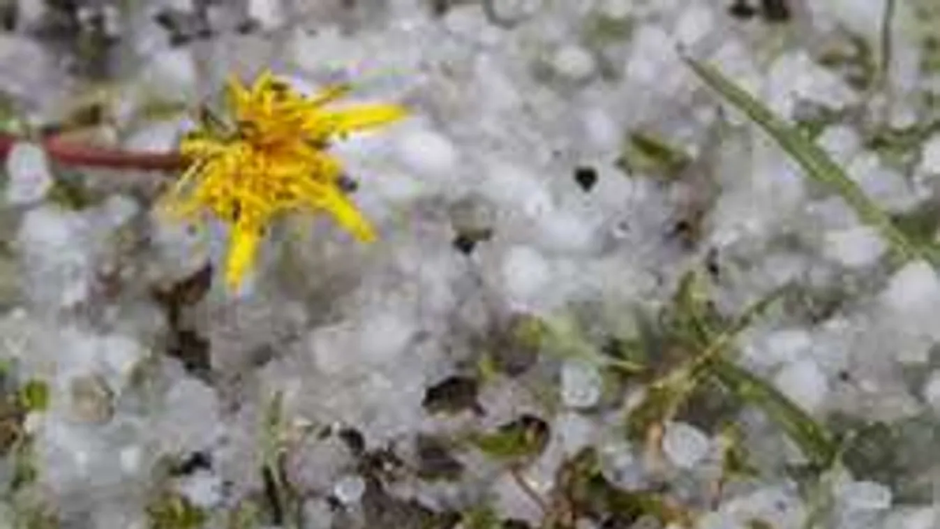 Diónyi jégdarabok zúdultak az égből Zalaegerszegre - Fotók