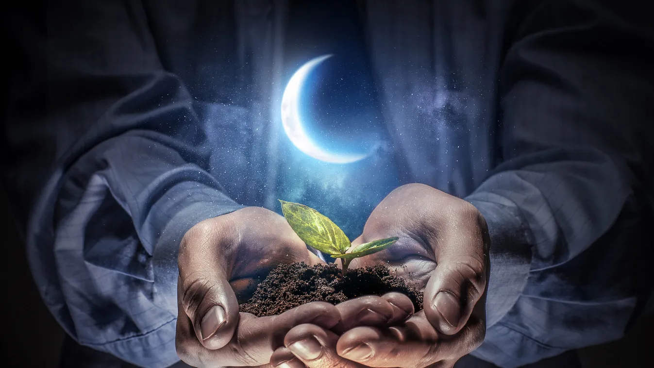 Birth,Of,New,Life.,Mixed,Media,.,Mixed,Media