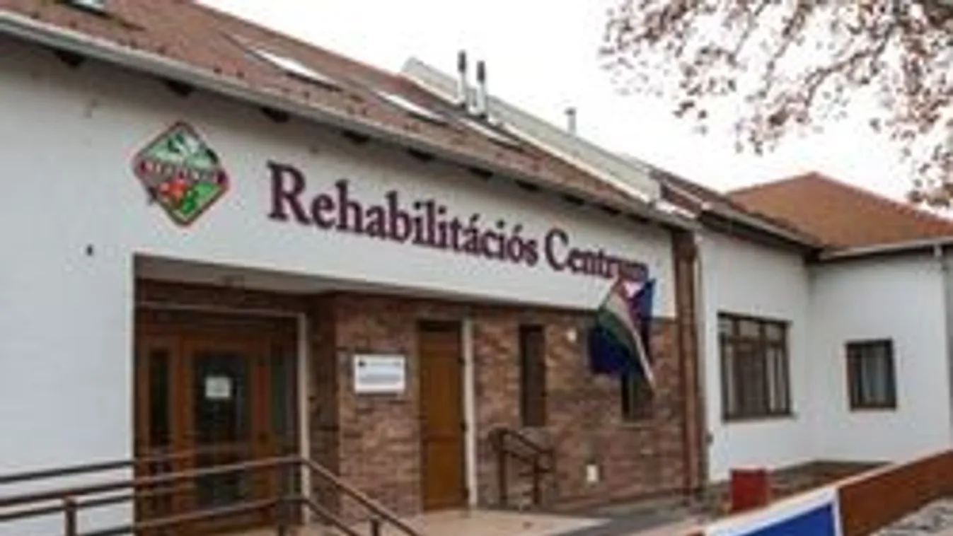 Drogfüggő gyerekeknek nyílt befekvős rehab