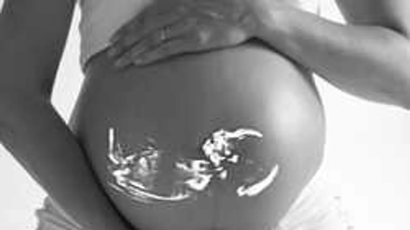 Itt a nap videója, ez örökre megváltoztatja az életedet