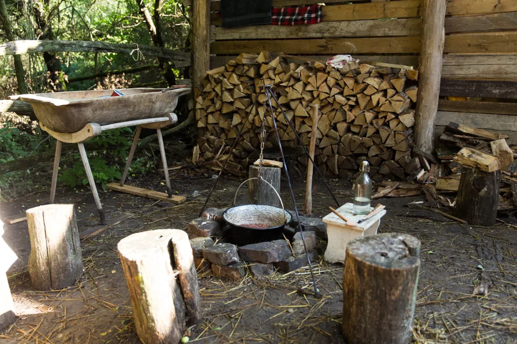 2020819_Farm_vip_vesztesek_haza_KM_RP_01