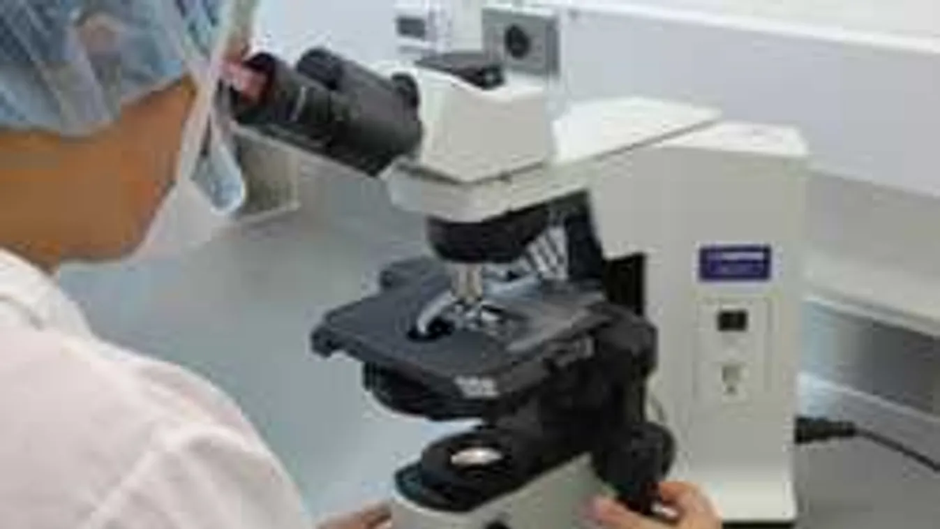 Most jelentették be az orvosok: egy vérteszt évekkel előre jelzi a rákot