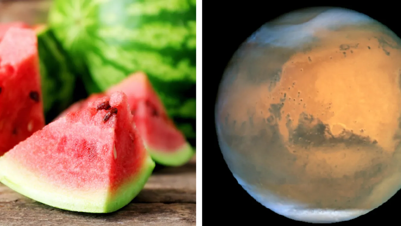 New York Times: görögdinnyét találtak a Marson!