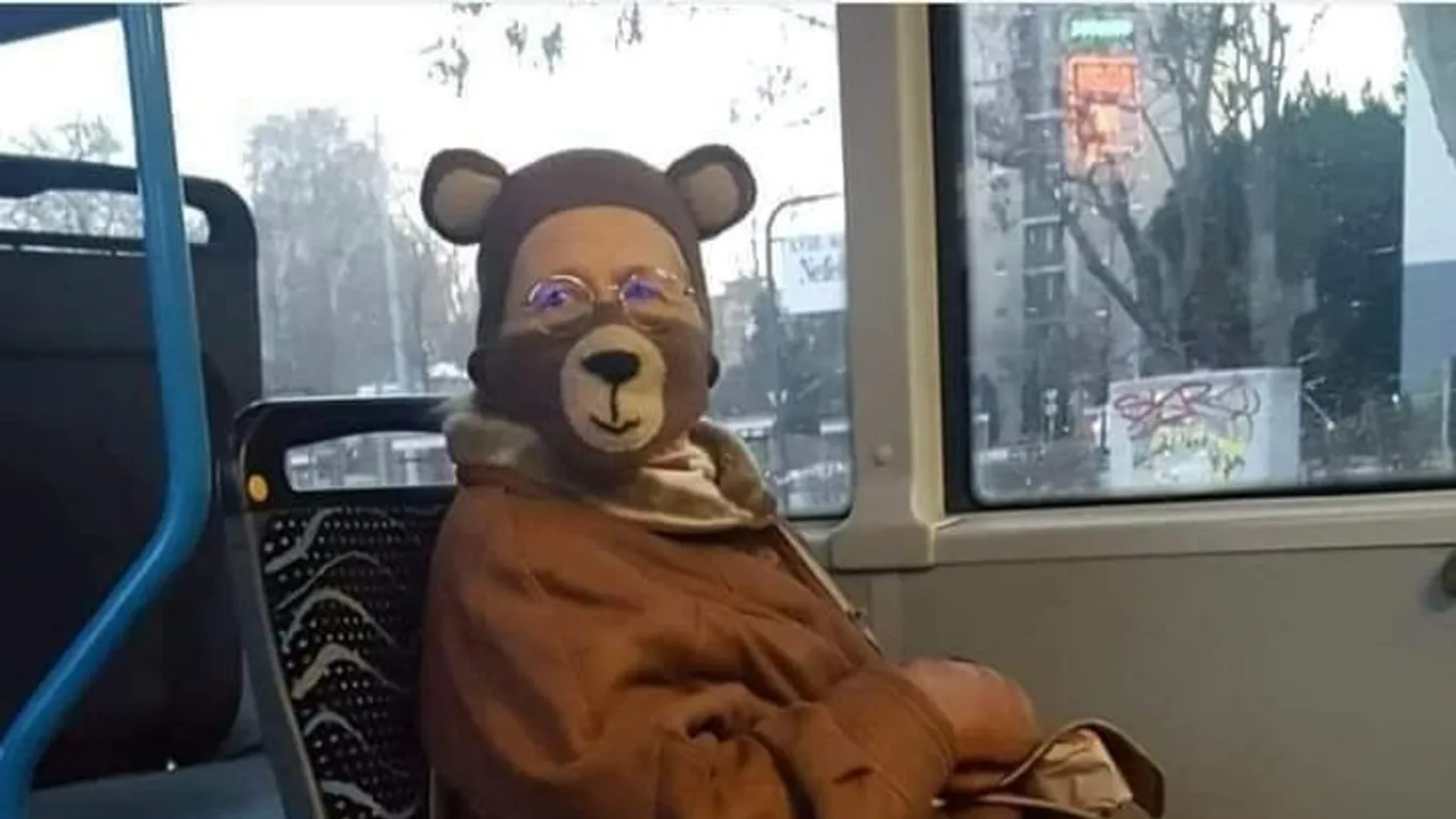 Mackó jelmezben utazott a hölgy a buszon
