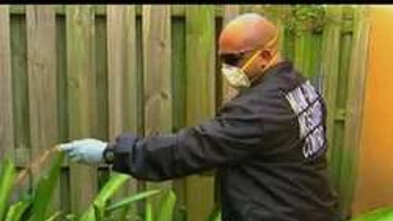 Zika-pánik már Miamiban is!