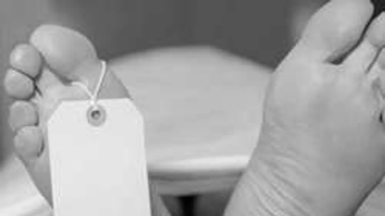 Felkelt a halott a hullaházban!