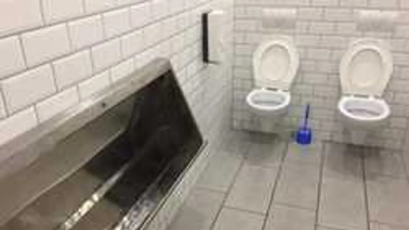 Csoportosan végezhetik dolgukat a szegedi étteremben - fotó