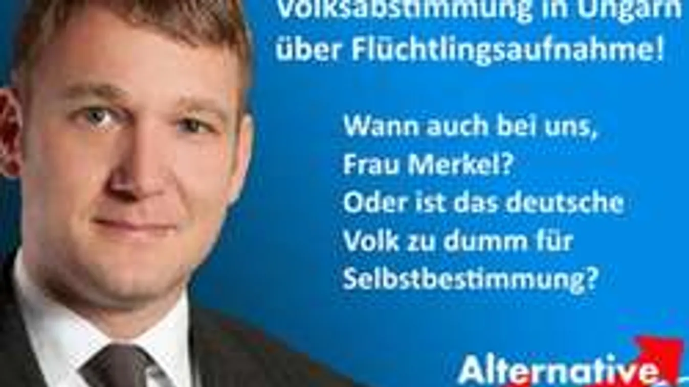 Népszavazást követelnek a migránsokról Németországban!