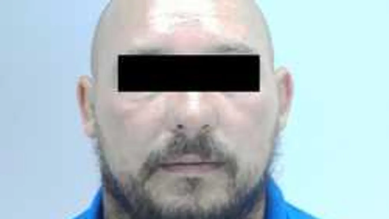 Megdöbbentő részletek: politikus bérelte fel a bérgyilkos D. Csabát