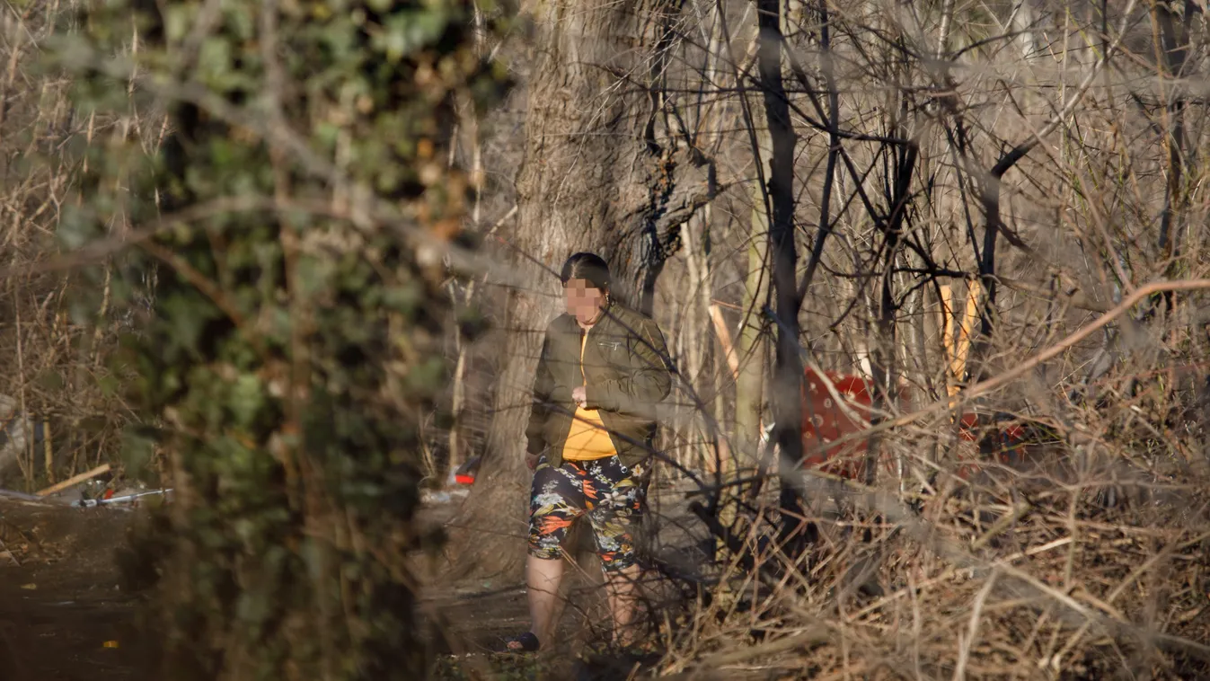 Megszólalt a zuglói láncra vert kutyák gazdája: ő is fél
