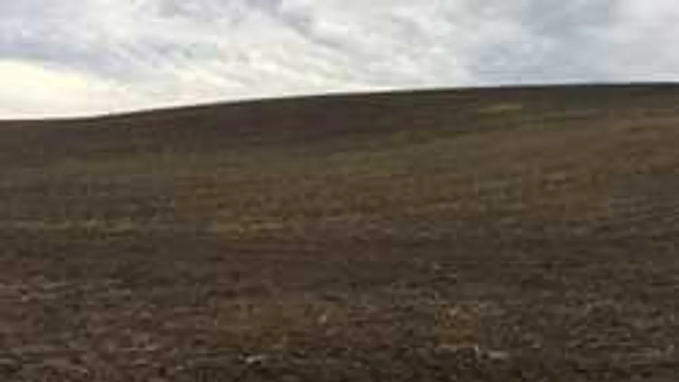 Eltakarították az 1 millió négyzetméternyi parlagfüvet!