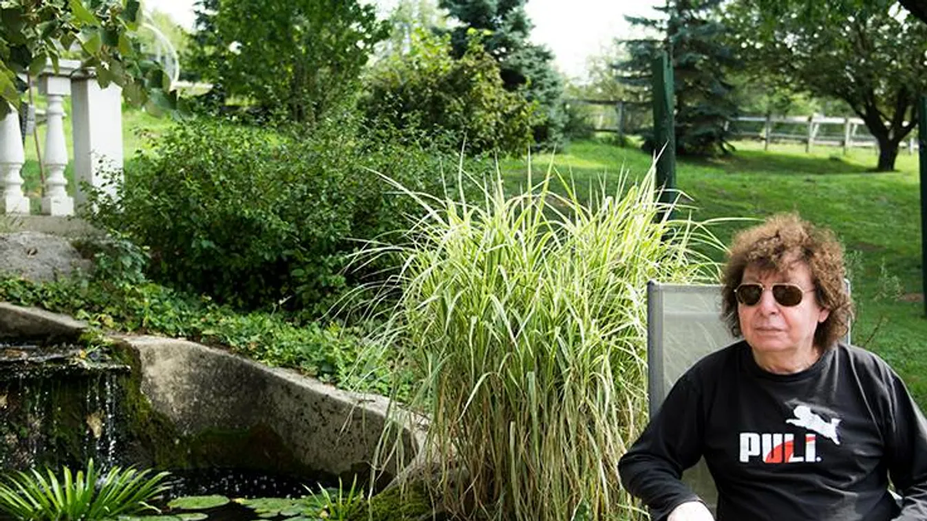 Friss hír Demjén Ferencről: Hazaengedték a legendát