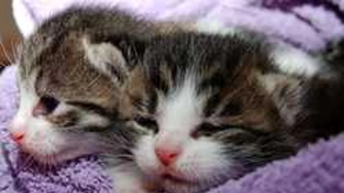 Újabb hidegfront érkezik, ekkor csap le a rendkívüli idő