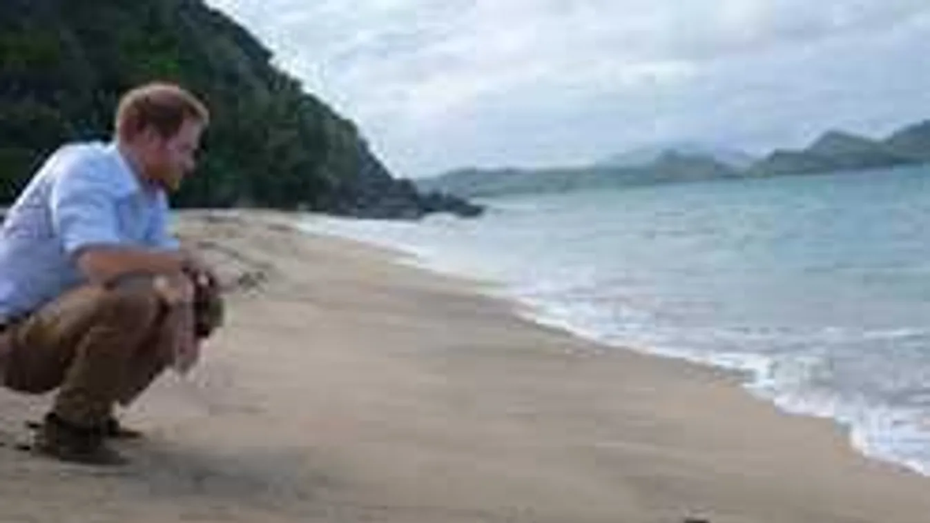 Féltett titkáról vallott Harry herceg, orvosra is szüksége volt