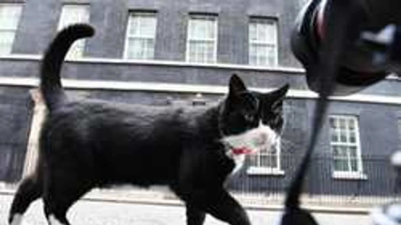 Átláthatatlan köd ereszkedik az országra és az eső is lecsap