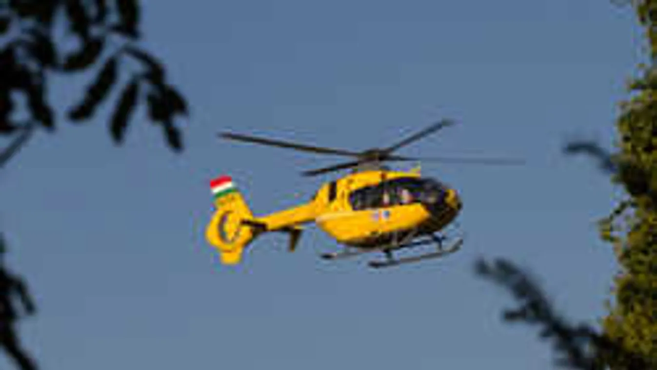 Brutális tragédia: Halálra mart egy kutya valakit Újszászon