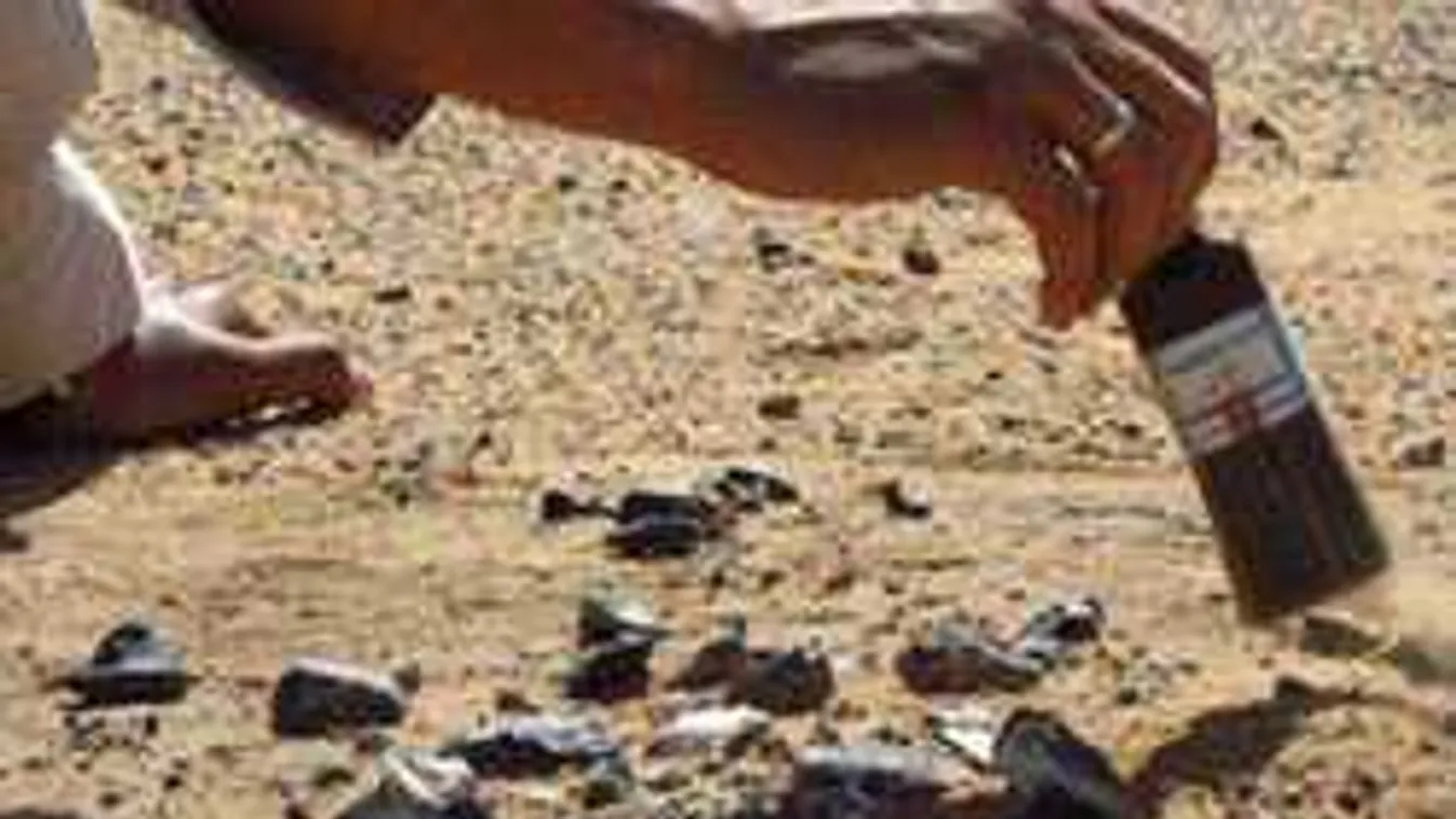 Arra a kutatók sem számítottak, ami most előkerült egy sírból