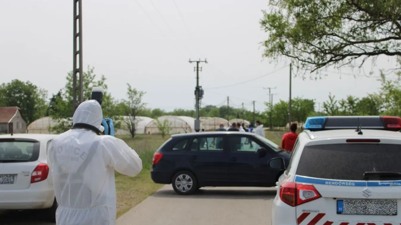 Kegyetlen gyilkosság Csongrád megyében: reggel találták meg a holttestet – videó