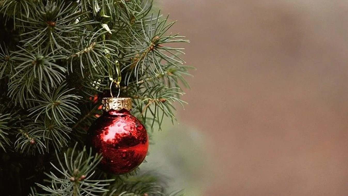 Ne dobd ki a karácsonyfáról lehullott tűleveleket, eszméletlen, mire használhatod