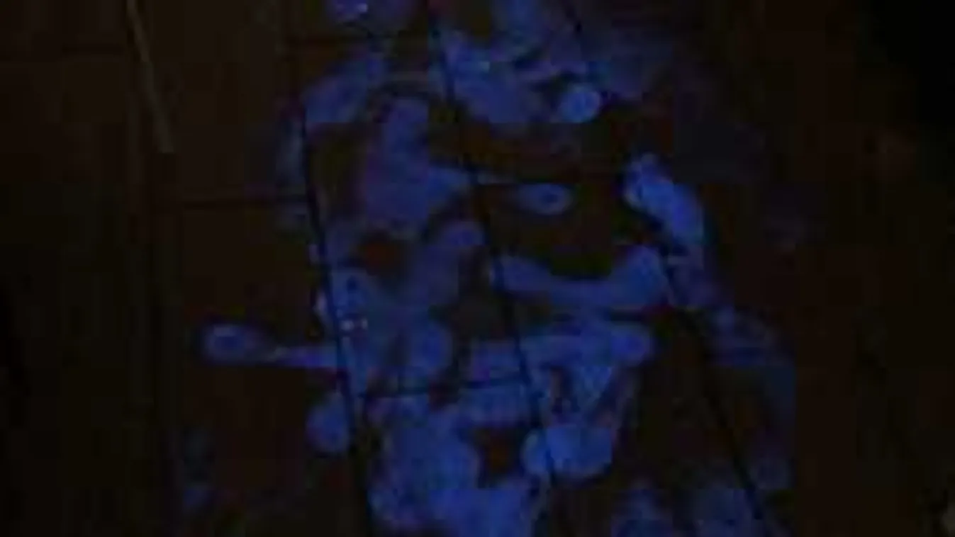 Már nem lehetett újraéleszteni a turistát, tragédia a pesti hostelben