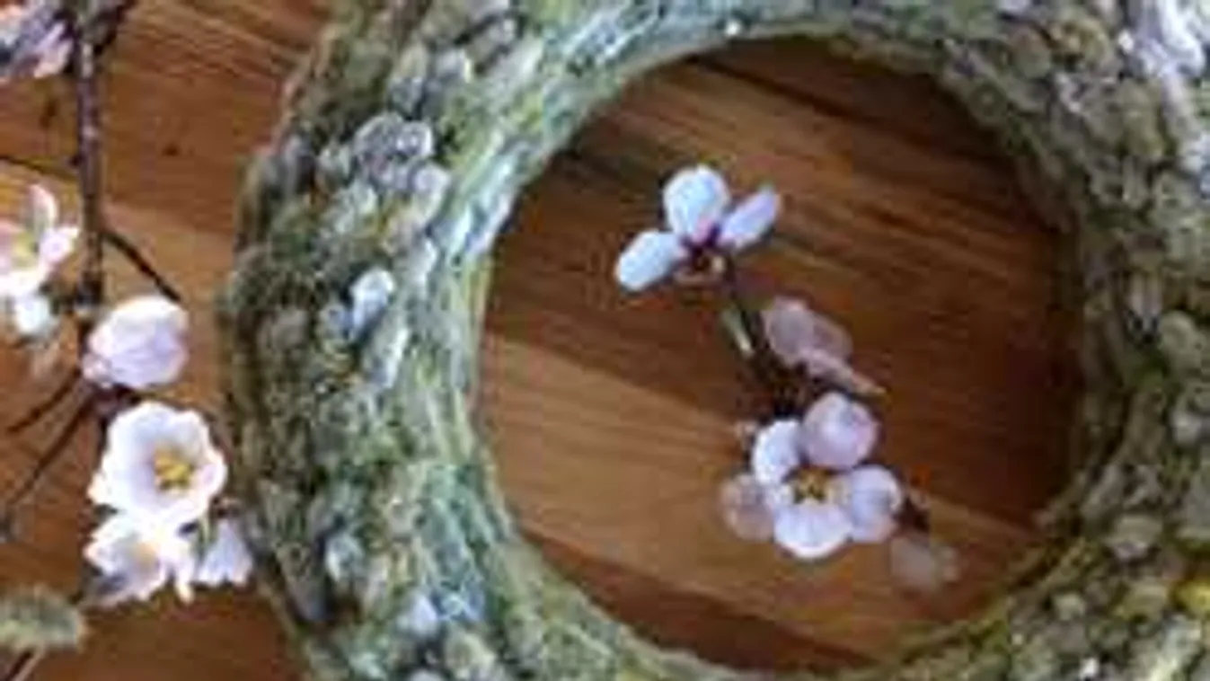 Tüneményes tavaszváró a barkakoszorú: mutatjuk, hogy készítsd el