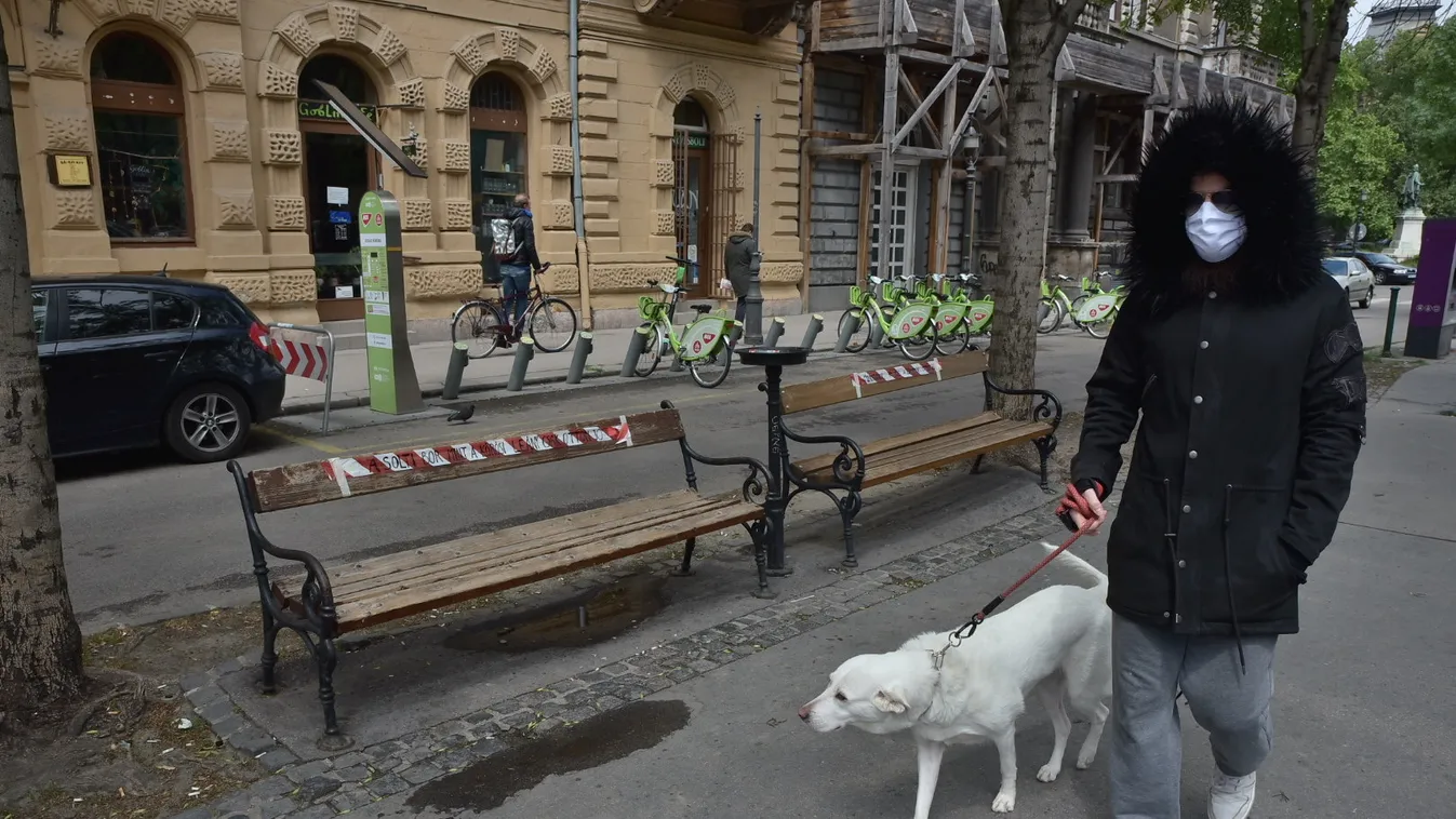 Most érkezett: vicces feliratokkal üzennek a pesti padokon – fotók