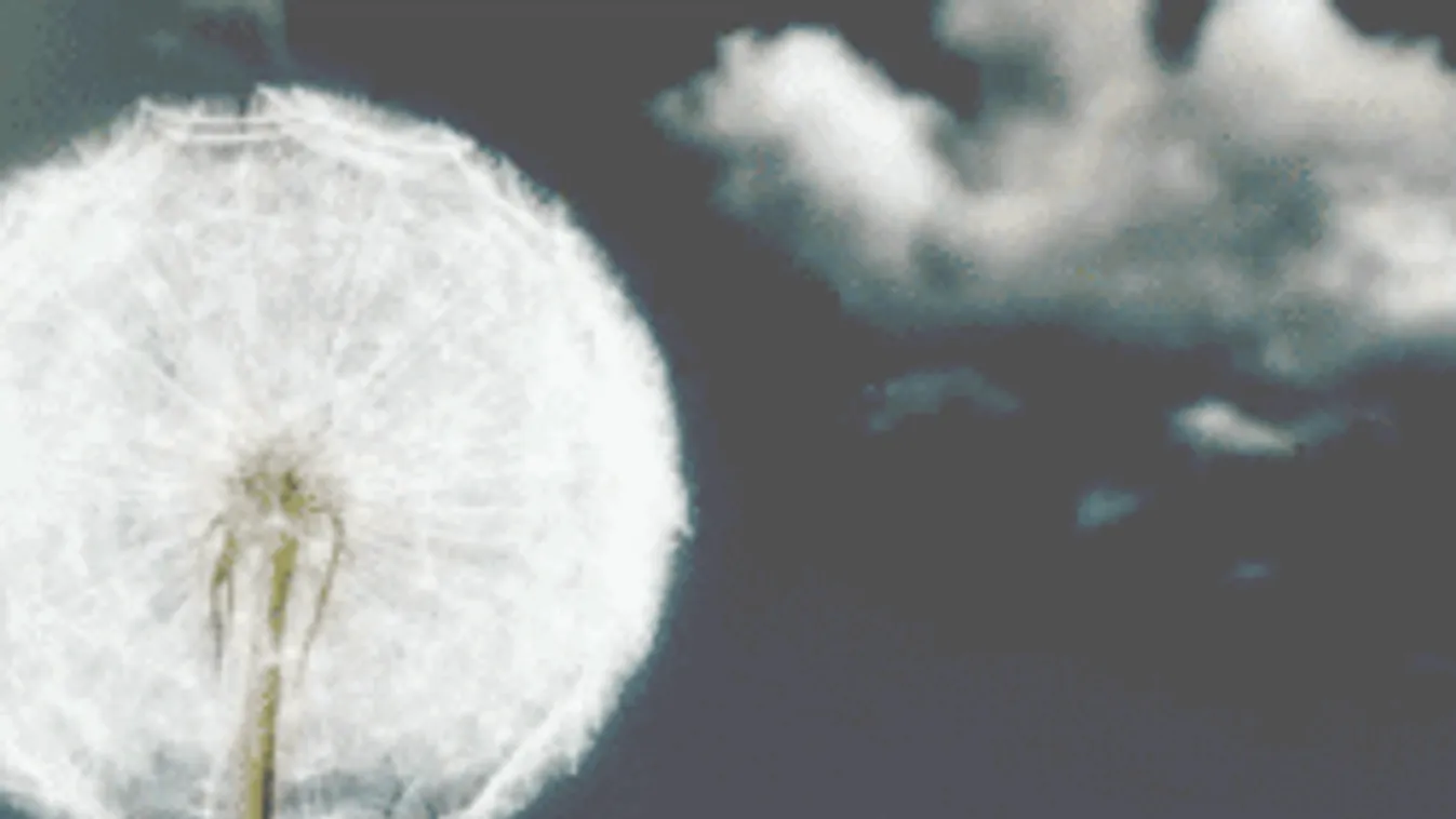 Durván próbára tesz az időjárás, riasztást adtak ki a meteorológusok