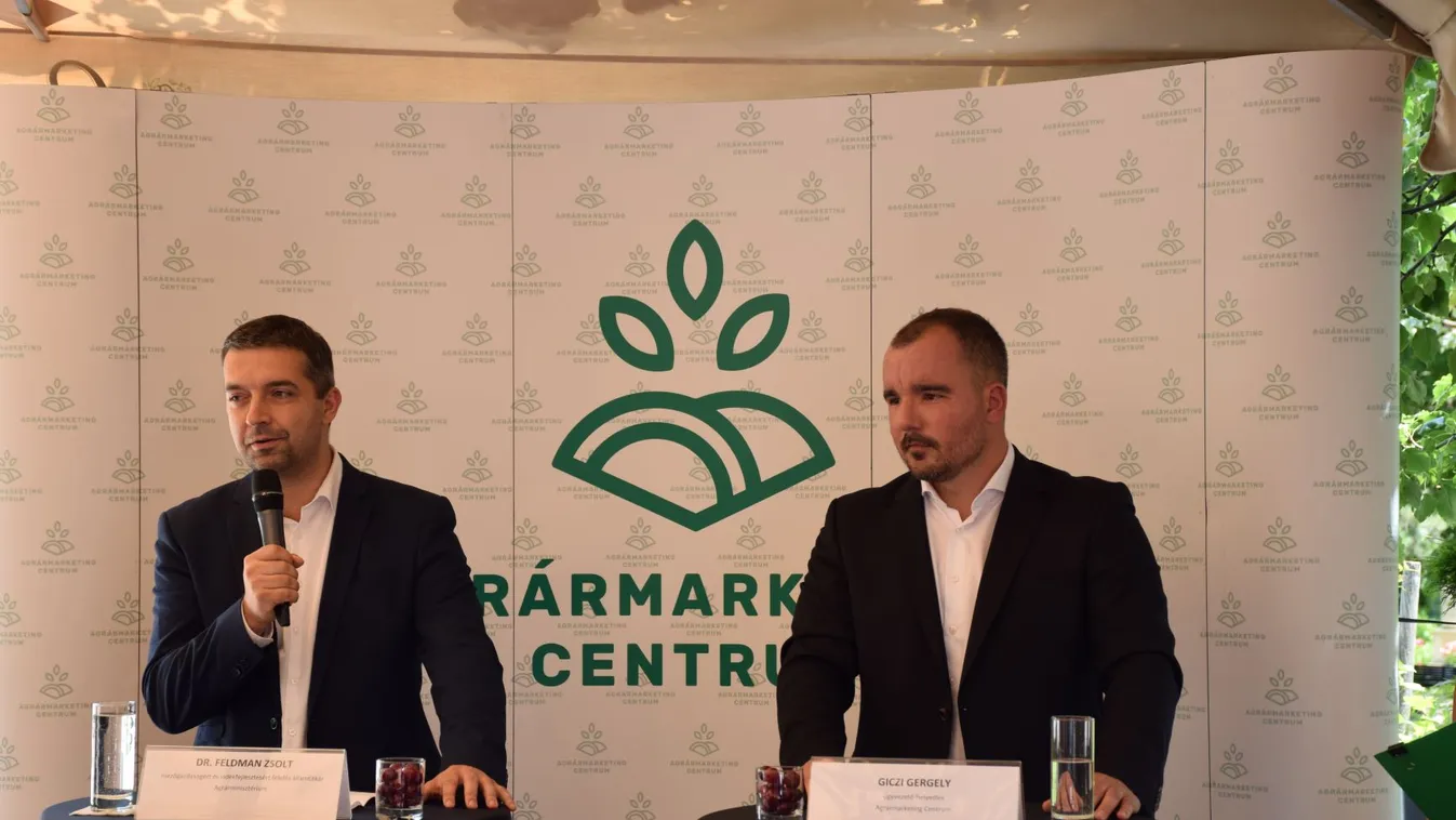 Feldman Zsolt és Giczi Gergely