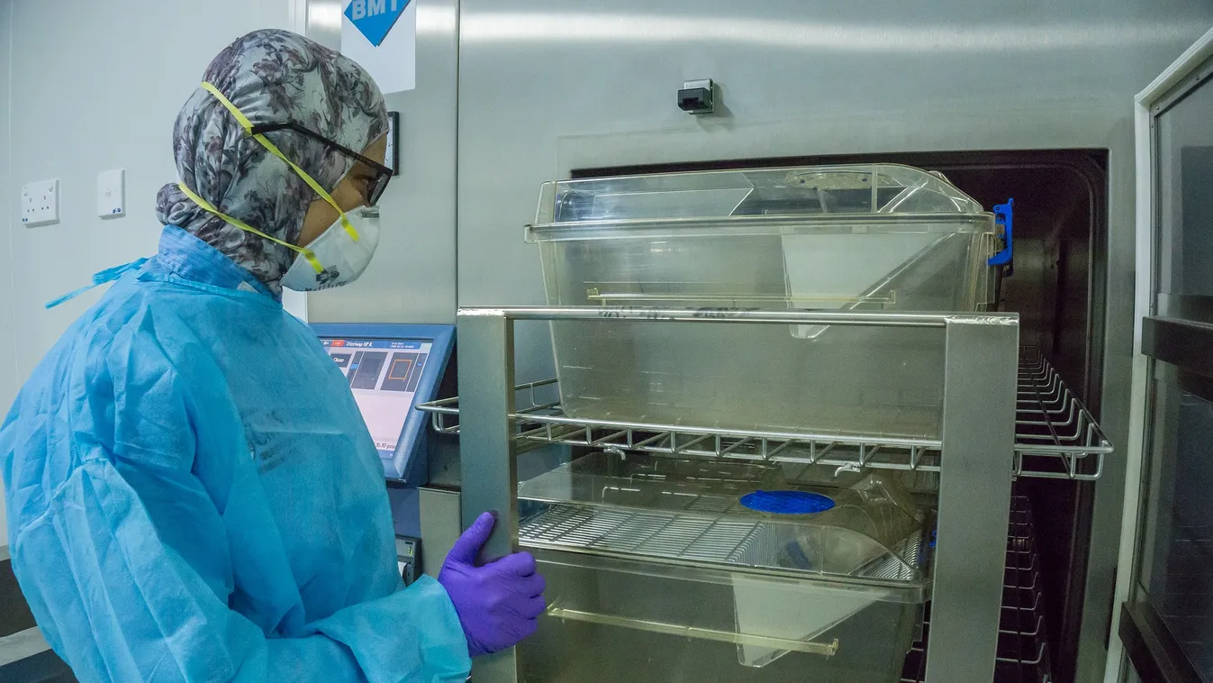 Horror a laborban: halálos vírussal fertőződött meg egy kutató